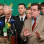 Greens ask European peers: Where did it all go wrong?
