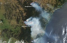 Reports of looting as Australian wildfires rage