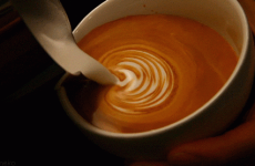 8 GIFs that prove coffee is a beautiful, beautiful thing