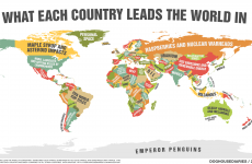 Map shows what every country is the world leader in... what about Ireland?
