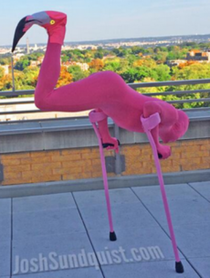 Halloween costumes? Paralympian Josh Sundquist has them nailed