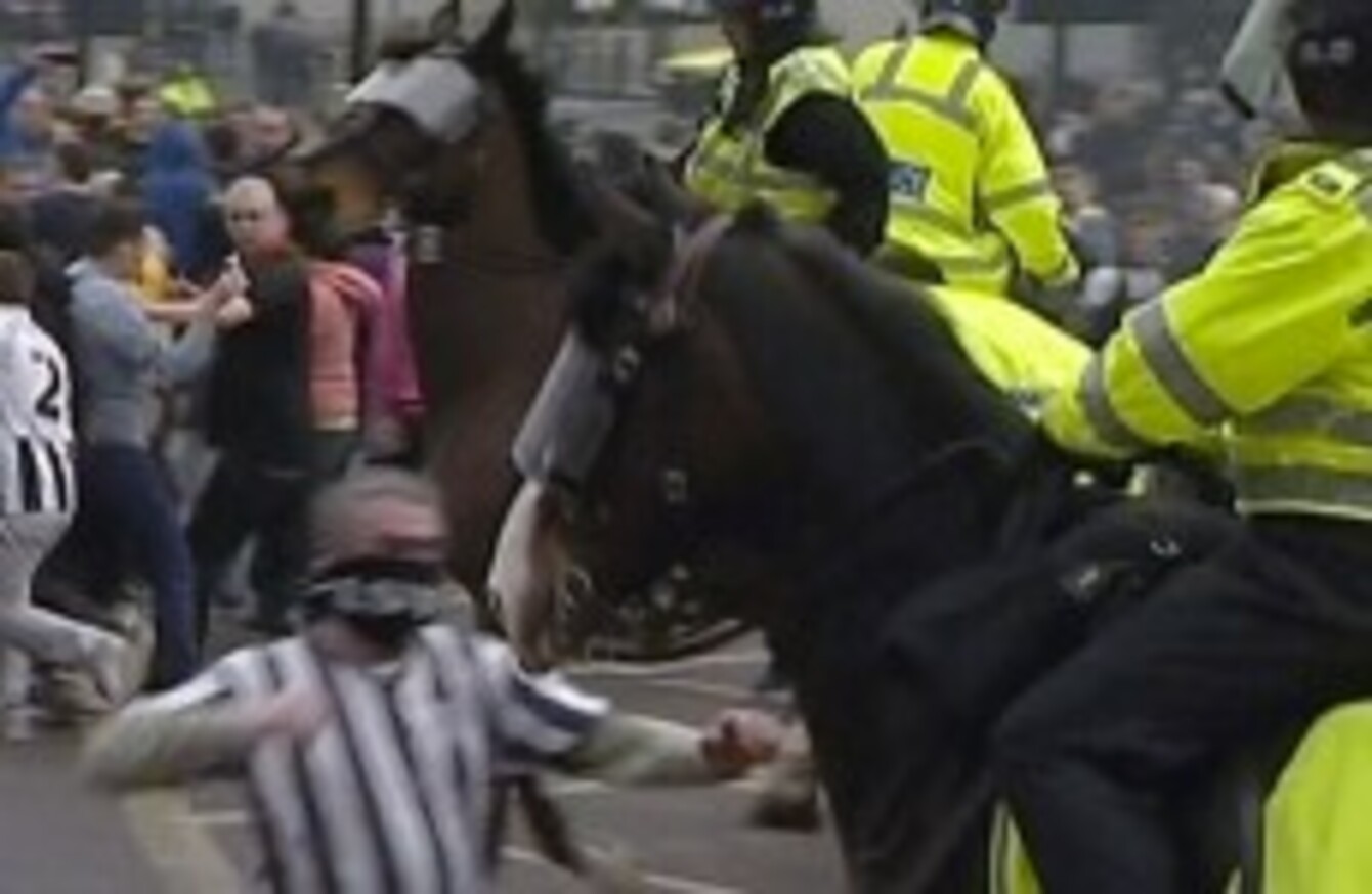 Newcastle fan jailed for a year for punching horse · The42