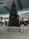 Really, Dublin Airport?