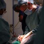 Poll: Should an 'opt-out' system for organ donation be introduced?
