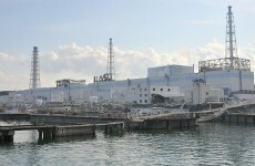 Newspaper and sawdust being used to plug leak at Japanese nuclear power plant