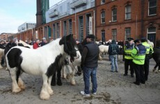 Three arrests following Smithfield horse fair