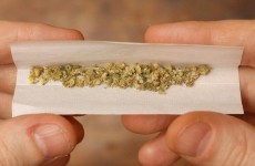 Guideline-setting GP supports cannabis decriminalisation
