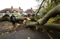 Irishman among four killed by storm in the UK