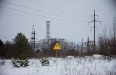 Greenpeace says Chernobyl food radiation persists