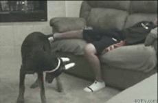12 incredibly painful moments captured perfectly in GIFs