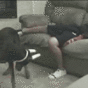 12 incredibly painful moments captured perfectly in GIFs
