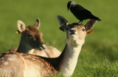 Top readers' comments of the week