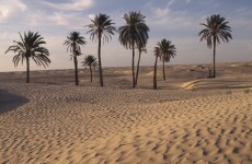 48 children die of thirst in Niger desert