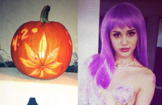 Miley Cyrus has porno pumpkins... it's The Dredge (NSFW)