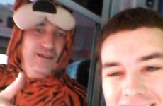 Hero Dublin Bus driver works in tiger onesie for Halloween
