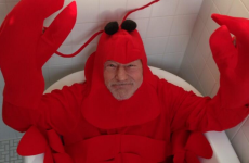 Patrick Stewart's Halloween costume is suitably amazing