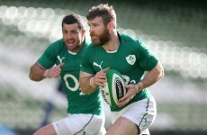 D'Arcy: Ireland need to win all three November matches to restore fan faith