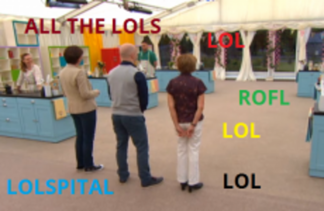 Moss, Angel Delight and sleeveless jumpers...The Great Irish Bake Off semi-final