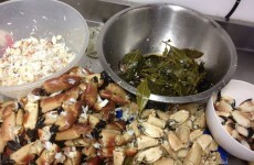 Fancy some good pub grub? Head up to Down, or maybe down to Cork