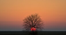 The Week in Photos: Tangerine Dream