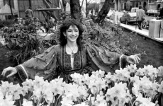 Kate Bush gets permission for song based on Joyce's Ulysses