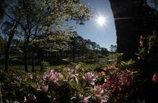 In pictures: your guide to Augusta National