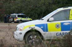 Gardaí identify remains found in Meath as 37 year-old Christopher Gaffney