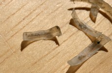 8 revolting things you're forced to confront in your everyday life
