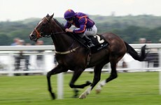 Aussies scared that Mullins will spoil their €4.3m Melbourne Cup party