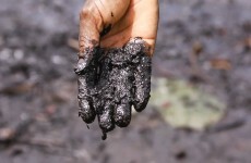 Amnesty: Shell made 'false claims' on oil spills