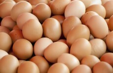 China exchange hatches plan for egg futures