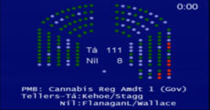 Dáil rejects Luke 'Ming' Flanagan's cannabis regulation motion