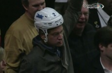 NHL player had his helmet stolen after crashing through the glass