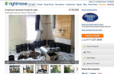 Estate agent accidentally shows cannabis factory in two-bedroom house