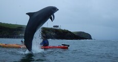 Fungi gave this American couple in Dingle an awful fright