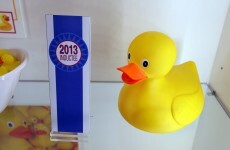 Rubber duck beats Pac Man and My Little Pony into Toy Hall of Fame