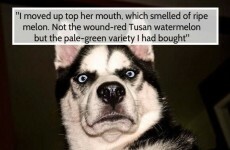 6 horrific sentences from the Bad Sex in Fiction Award nominees