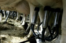 Fukushima radiation now present in Irish milk samples