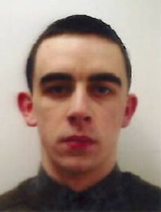 Search called off for missing man in Portlaoise