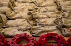 Poll: Should Irish people wear poppies to honour the war dead?