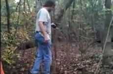 Man attempts to cross stream on a log, fails miserably