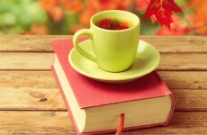 Sitdown Sunday: The 20 deadliest reads of 2013