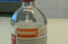 Poisonous substance used in euthanasia, death penalty stolen from Celbridge vet