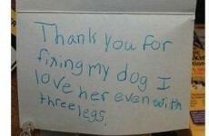 11 magnificent letters which will make you want to write them again