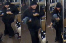 Authorities release images of woman who abandoned alligator at Chicago airport