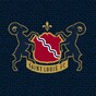 What would your favourite NFL team's logo look like if they were a European football club?