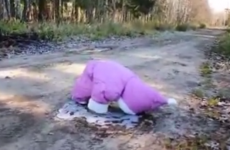 Toddler's adorable first walk on ice ends in failure