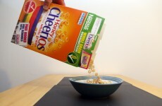 Nestlé to create 95 jobs and paid work experience placements in Ireland