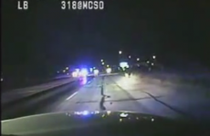 WATCH: US cops in multi-car chase with baby kangaroo