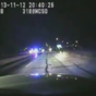 WATCH: US cops in multi-car chase with baby kangaroo